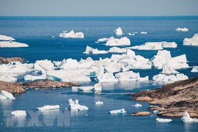 Ảnh minh họa (Nguồn: AFP/TTXVN)