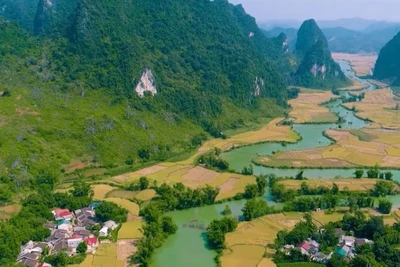 Các video clip truyền tải thông điệp về phát triển du lịch xanh. (Ảnh chụp màn hình)