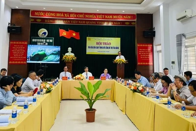 Quang cảnh Hội thảo khoa học "Văn hóa dân gian trong đời sống đô thị ở Đà Nẵng".