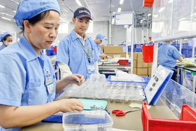 Công nhân tại Công ty TNHH Daiwa Việt Nam, Khu công nghiệp Hòa Khánh, Đà Nẵng. (Ảnh CÔNG VINH)