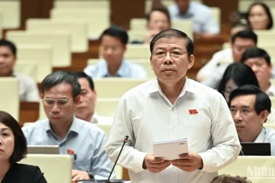 Đại biểu Nguyễn Thanh Sang (Đoàn Thành phố Hồ Chí Minh) phát biểu tại hội trường. (Ảnh: BÙI GIANG)