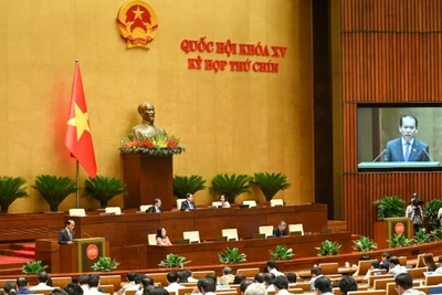 Quốc hội nghe Tờ trình và Báo cáo thẩm tra dự án Luật sửa đổi, bổ sung một số điều của Luật Xử lý vi phạm hành chính. (Ảnh: BÙI GIANG)