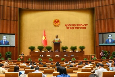 Quốc hội làm việc tại hội trường nghe Tờ trình và Báo cáo thẩm tra Dự án Nghị quyết của Quốc hội về việc thí điểm Viện kiểm sát nhân dân khởi kiện vụ án dân sự để bảo vệ quyền dân sự của các chủ thể là nhóm dễ bị tổn thương hoặc bảo vệ lợi ích công. (Ảnh: BÙI GIANG)