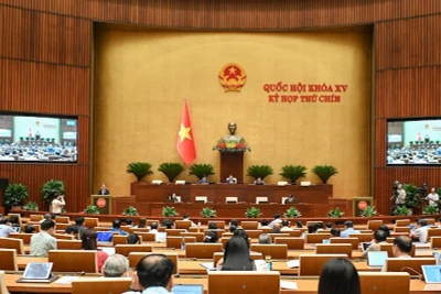 Quốc hội làm việc tại hội trường nghe Tờ trình, Báo cáo thẩm tra về Luật sửa đổi, bổ sung một số điều của Bộ luật Tố tụng hình sự. (Ảnh: BÙI GIANG)