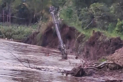 Hiện trường vụ sạt lở 90m bờ sông Cổ Chiên. 