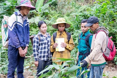 Tổ bảo vệ rừng thôn Hồ, xã Hướng Sơn, huyện Hướng Hóa, là một trong những nhóm hộ được hưởng lợi từ dự án để góp phần phát triển bền vững.