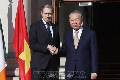 Tổng Bí thư, Chủ tịch nước Tô Lâm hội kiến với Thủ tướng Ireland Simon Harris. (Ảnh: TTXVN)