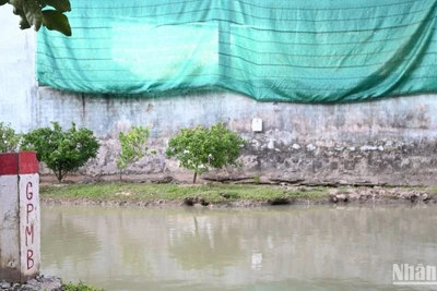 Gói thầu XL-01 phía Tiền Giang chưa được giải phóng mặt bằng.