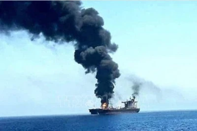 Con tàu bị lực lượng Houthi tấn công trên Biển Đỏ. (Ảnh tư liệu: IRNA/TTXVN)