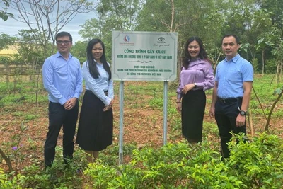 Công ty Ô-tô Toyota Việt Nam phối hợp Trung tâm Truyền thông Tài nguyên và Môi trường, Bộ Tài nguyên và Môi trường tổ chức Lễ trao tặng cây xanh − Hưởng ứng Chương trình “1 tỷ cây xanh - Vì Việt Nam xanh" tại Nghĩa trang liệt sĩ Quốc gia Đường 9, tỉnh Quảng Trị.