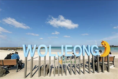 Jeju là điểm đến được du khách Việt Nam yêu thích. (Ảnh: TTXVN)