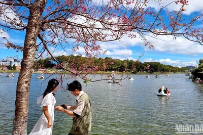 Khung cảnh lãng mạn của Đà Lạt luôn hấp dẫn du khách. (Ảnh: MAI VĂN BẢO)