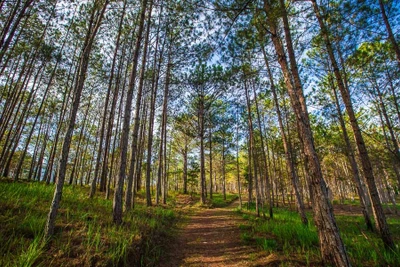 Báo Singapore gợi ý 3 địa điểm ở Việt Nam để “trốn nóng” mùa hè này