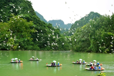 Ảnh minh họa: Du khách tham quan Khu bảo tồn vườn chim Thung Nham (Ảnh: @thungnhamecotourismzone)