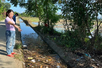 Người dân sống bên đoạn cuối kênh thủy lợi N24 Bắc Phú Ninh chảy qua địa phận khối phố Hương Trà Đông, phường Hòa Hương, thành phố Tam Kỳ bức xúc vì ô nhiễm môi trường.