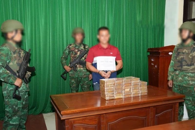 Đối tượng T.N.T (quốc tịch Việt Nam) bị Bộ đội Biên phòng tỉnh Quảng Nam bắt giữ cùng tang vật.