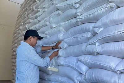 Gạo dự trữ quốc gia. (Ảnh: GDSR)