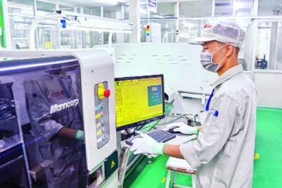 Ảnh minh họa: nhandan.vn.