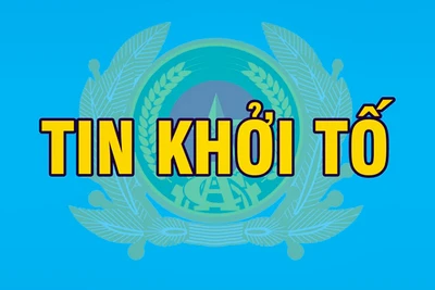 Khởi tố bị can nguyên Bộ trưởng, Chủ nhiệm Văn phòng Chính phủ Mai Tiến Dũng