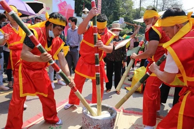 Thi giã bánh dày dâng lên các Vua Hùng ngày Giỗ Tổ. (Ảnh: Ngọc Long)