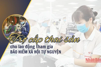 Đồ họa: Phương Nam.