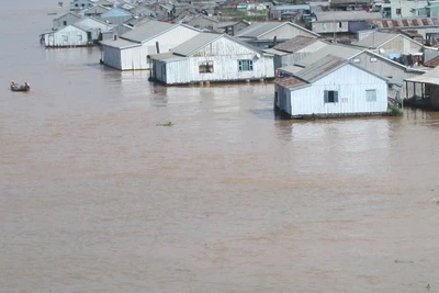 Một góc làng bè ngã ba sông Châu Đốc.