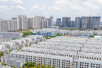 [Video] Gỡ vướng chứng chỉ hành nghề Môi giới Bất động sản