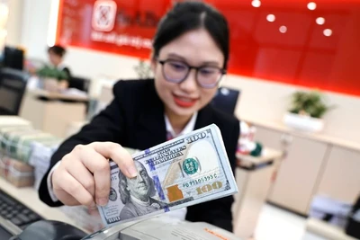 UOB dự báo tỷ giá biến động khoảng 2%-3% trong năm 2025.