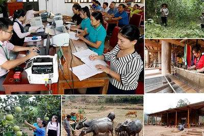 Nguồn vốn chính sách giúp người dân Nghệ An phát triển kinh tế. 