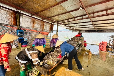 Mở rộng phạm vi gói tín dụng đối với lĩnh vực nông, lâm, thủy sản.