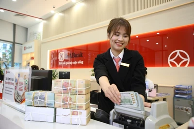 Tổng mức đầu tư IFC và 5 quỹ đầu tư dành cho SeABank bao gồm cả tài trợ thương mại đạt gần 400 triệu USD.