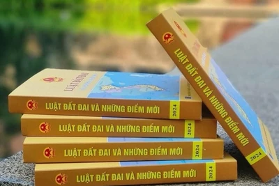 Chính phủ thông qua Đề nghị sớm đưa Luật Đất đai 2024 vào cuộc sống