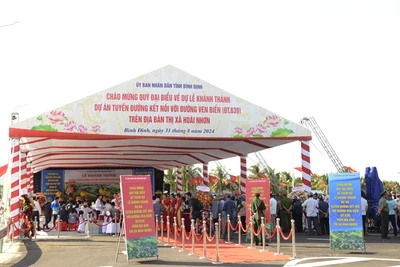 Tuyến đường đi qua địa bàn các phường Hoài Thanh Tây, Hoài Thanh, Tam Quan Nam, thị xã Hoài Nhơn.