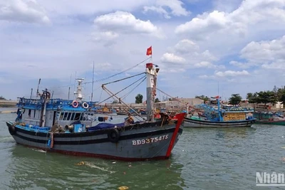 Tàu cá từ 15m trở lên phải có hệ thống giám sát hành trình hoạt động ổn định trước khi xuất bến.