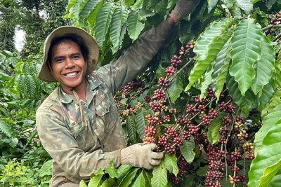 Kinh tế tư nhân đang trở thành một động lực quan trọng trong việc thúc đẩy phát triển kinh tế tại các vùng sâu, vùng xa của Việt Nam, nơi điều kiện kinh tế-xã hội còn nhiều khó khăn.