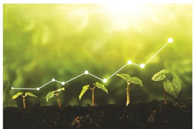 Chuyển đổi xanh là yêu cầu bắt buộc đối với các doanh nghiệp.