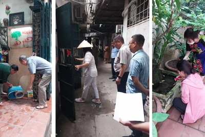 Bộ Y tế khuyến cáo trong cao điểm sốt xuất huyết.