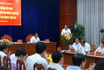 Cà Mau chú trọng đổi mới, cải tiến công tác đánh giá cán bộ, công chức, viên chức