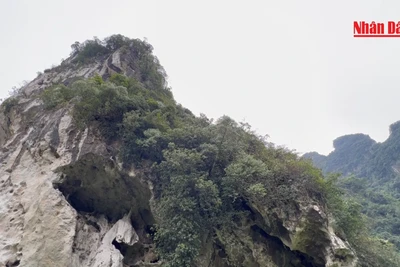 [Video] Hang Nhà Báo - Cơ sở mật của Báo Nhân Dân