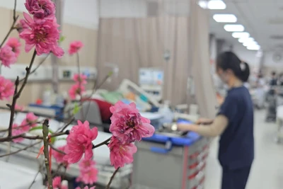 [Video] Các bệnh viện tuyến cuối nỗ lực tiếp nhận bệnh nhân cấp cứu gia tăng trong dịp Tết