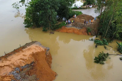 Sự cố vỡ đê sông Lô đoạn qua tỉnh Tuyên Quang diễn ra vào đêm 10/9.