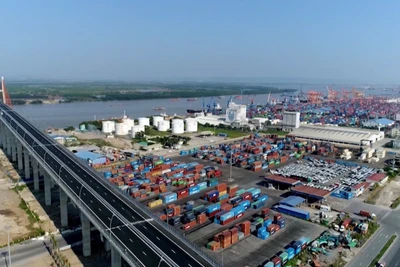 Hoạt động đào tạo kết hợp giữa nhà trường, doanh nghiệp và cơ quan quản lý chính là chìa khóa nâng cao chất lượng nguồn nhân lực logistics. 