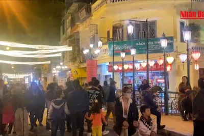 [Video] Khai trương phố ẩm thực đêm Đảo Ngọc-Ngũ Xã