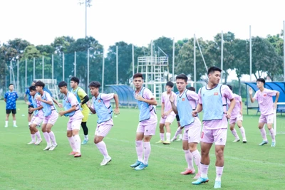 Lực lượng U16 Việt Nam phần lớn là những cầu thủ đã tham gia đợt tập trung cùng U17 Việt Nam hồi tháng 4/2024. (Ảnh: VFF)