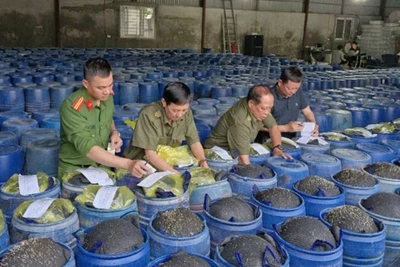 Các thùng giá đỗ ngâm hóa chất bị Công an tỉnh Nghệ An phát hiện, thu giữ. (Ảnh: Công an tỉnh Nghệ An)