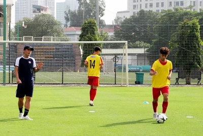 Các cầu thủ và huấn luyện viên tham gia tập huấn.