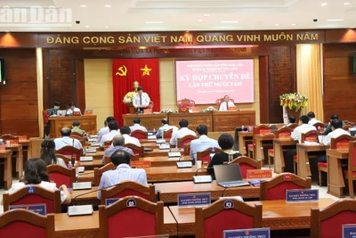 Quang cảnh Kỳ họp.