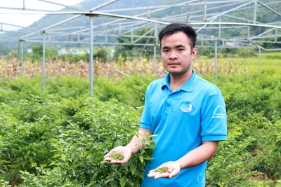 Giám đốc Hà Văn Ngọc. (Ảnh: baohagiang.vn)