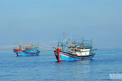 Ảnh minh họa. (Nguồn: Đình Châu)