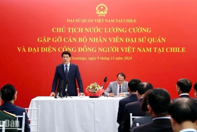 Chủ tịch nước Lương Cường phát biểu ý kiến tại buổi gặp mặt.